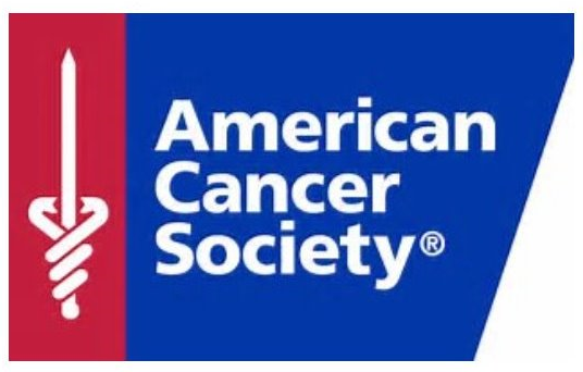 American Cancer Society Logo | Delphon Corporate Citizenship | Delphon